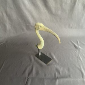 Large tête massive en bronze d’Ibis provenant d’Egypte entre 664 et 332 av. JC
